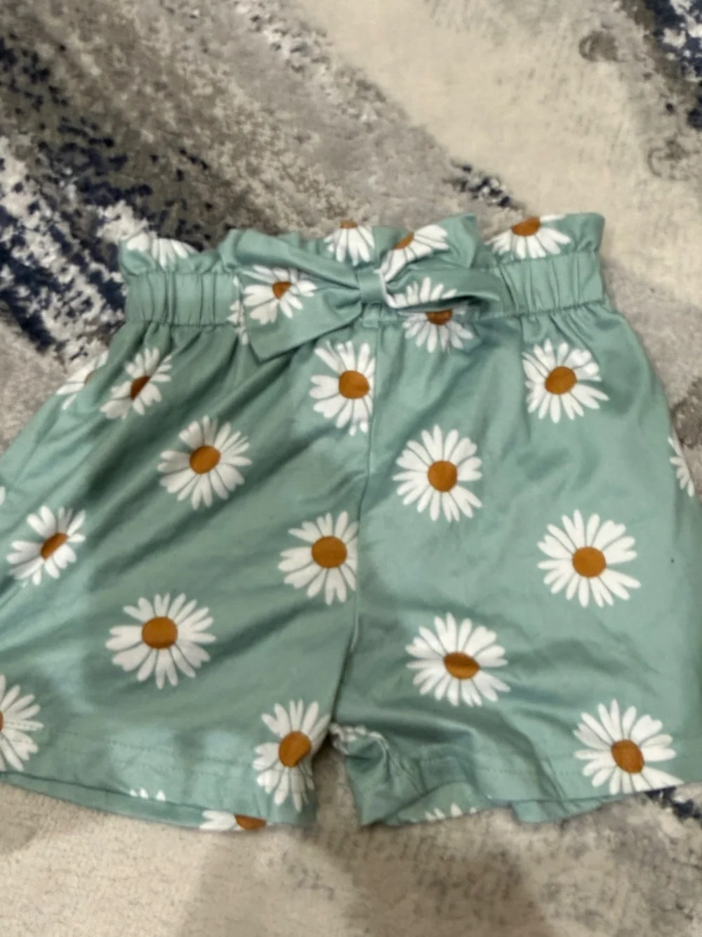 Girls 3-4T Sage Green Daisy Top 2 Piece Outfit Set